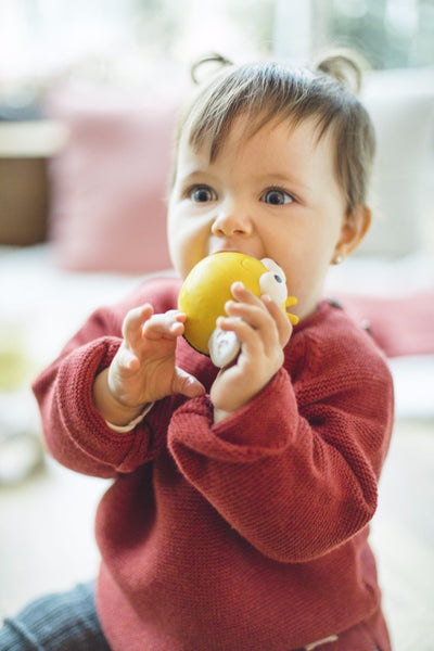 Lanco Pic the Bee Teether & Bath Toy