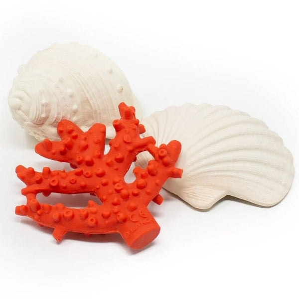 Lanco Karacola Shell Teether & Bath Toy