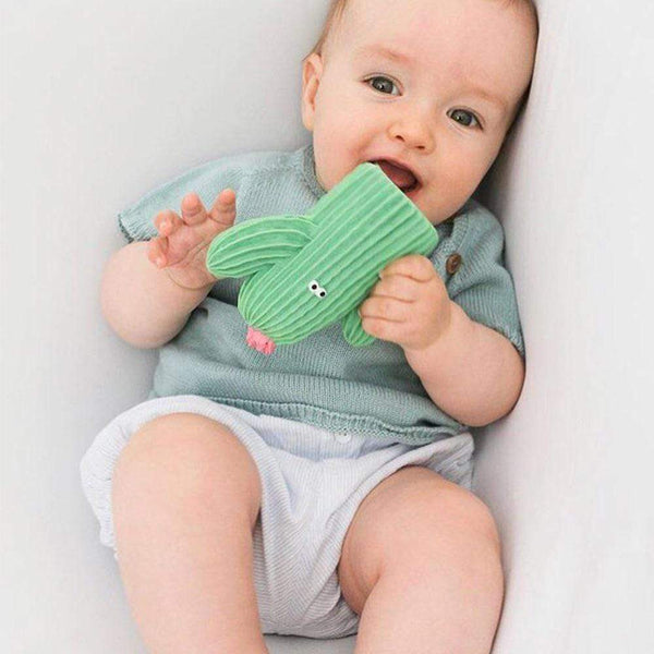 Lanco Frijolito the Cactus Teether & Bath Toy